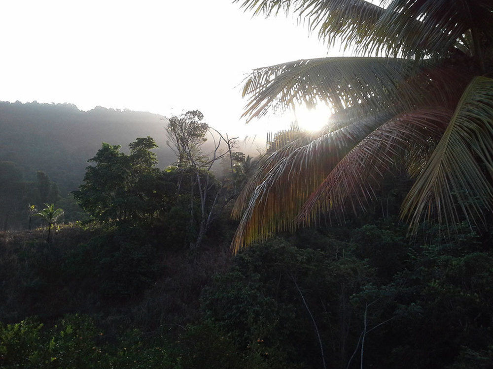 Las Cuevas Beach Lodge Extérieur photo